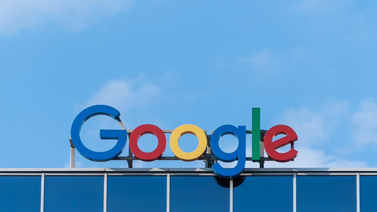Google update 2019 BERT and its effects Visable
